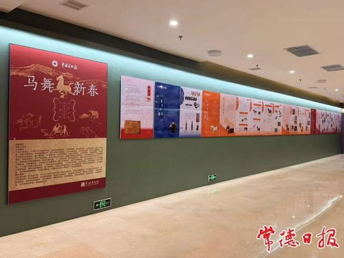 馬年赴常德博物館觀馬展 一場穿越千年的文化藝術(shù)之旅